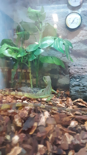 Pet Supply Store «Petco Animal Supplies», reviews and photos, 438 Southbridge St, Auburn, MA 01501, USA