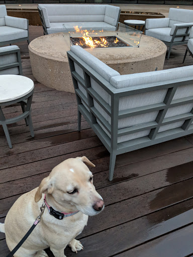 Shopping Mall «Uptown Plaza - Dallas», reviews and photos, 2222 McKinney Ave, Dallas, TX 75201, USA