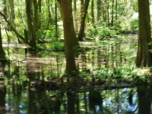 Botanical Garden «Brookgreen Gardens», reviews and photos, 1931 Brookgreen Garden Dr, Murrells Inlet, SC 29576, USA