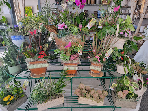 Florist «Skyway Creations», reviews and photos, 1407 S 8th St, Colorado Springs, CO 80905, USA