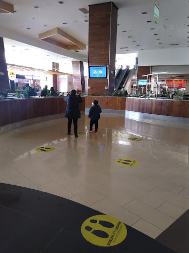 Opiniones de Mall del Centro Concepción en Concepción - Centro comercial