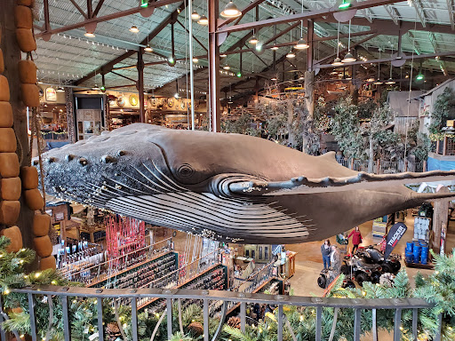 Shopping Mall «Patriot Place», reviews and photos, 2 Patriot Pl, Foxborough, MA 02035, USA