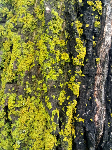 Recreation Center «Meri Lou Murray Recreation Center», reviews and photos, 2960 Washtenaw Ave, Ann Arbor, MI 48104, USA