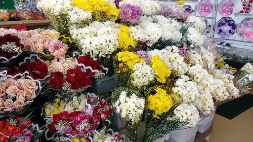 Produce Market «Produce Junction Inc», reviews and photos, 265 S Easton Rd, Glenside, PA 19038, USA