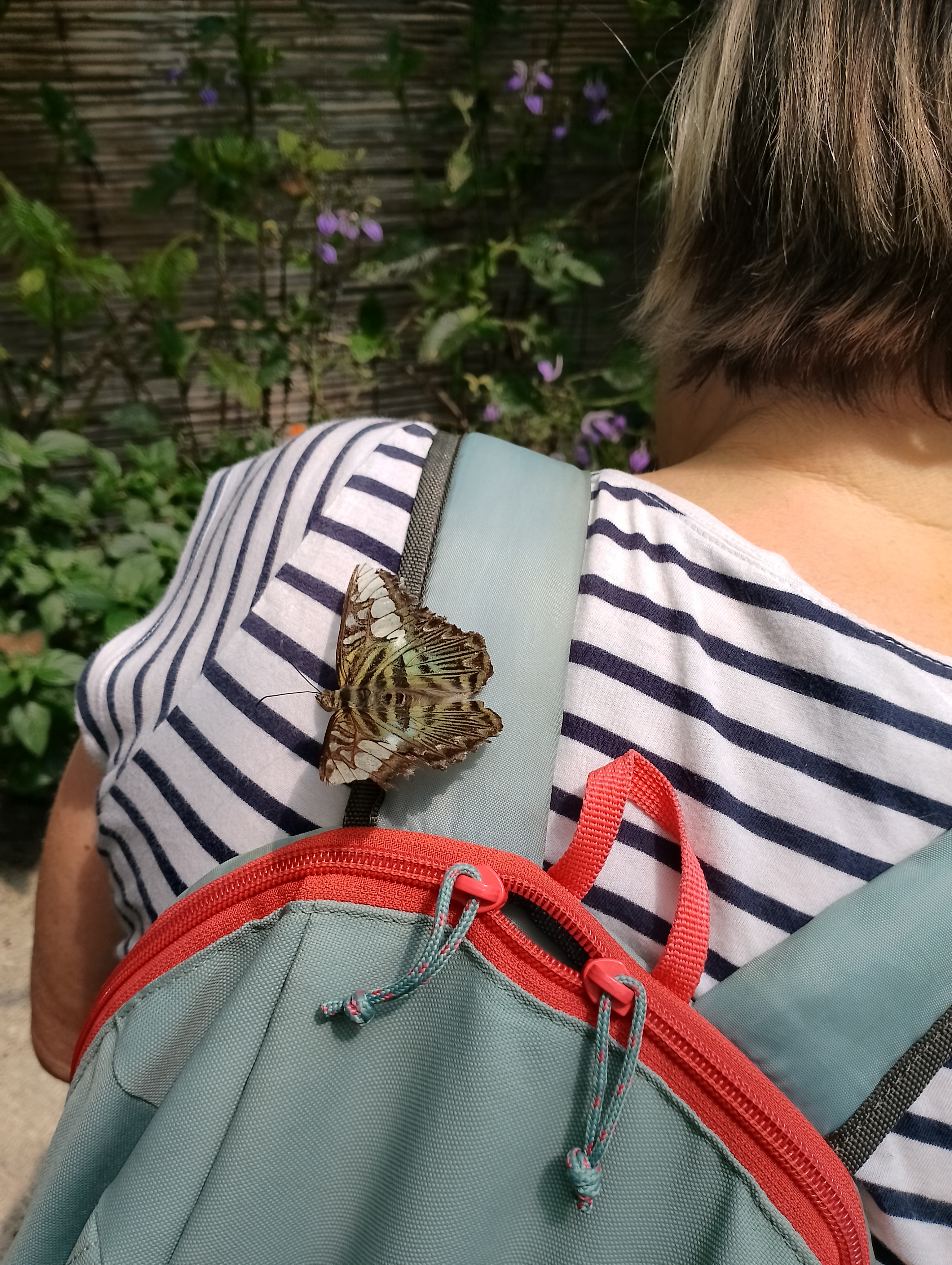 Photo n° 1 de l'avis de Gege.T fait le 22/07/2023 à 13:41