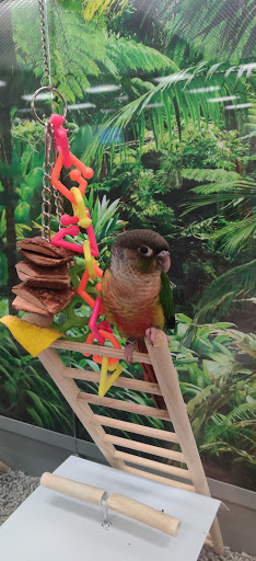 Pet Supply Store «Petco Animal Supplies», reviews and photos, 31419 Pacific Hwy S, Federal Way, WA 98003, USA