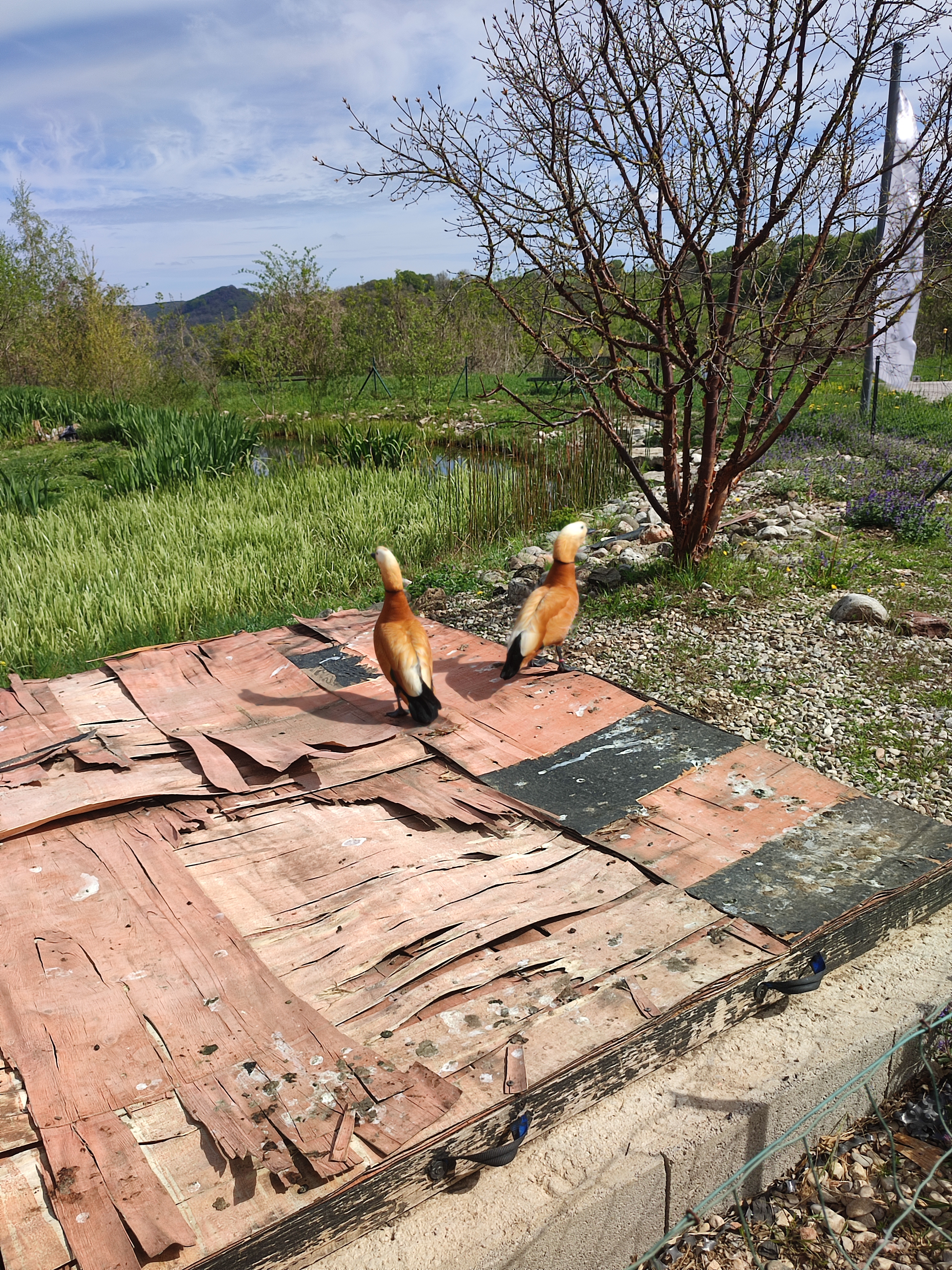 Photo n° 7 de l'avis de Francine.� fait le 02/05/2022 à 09:53