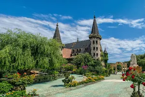 Castle of Ravadinovo image