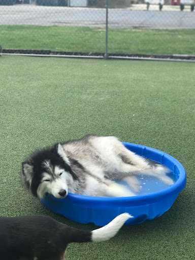 Pet Store «Happy, Clean and Smart», reviews and photos, 5700 W Kilgore Ave, Muncie, IN 47304, USA