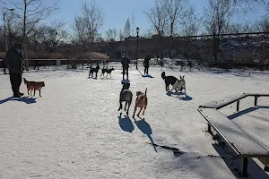 Thorndike Dog Park image