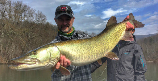 Fishing Store «Albemarle Angler», reviews and photos, 1129 Emmet St N, Charlottesville, VA 22903, USA