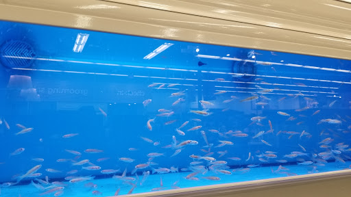 Pet Supply Store «Petco Animal Supplies», reviews and photos, 1320 E Lincoln Way p101, Sparks, NV 89434, USA