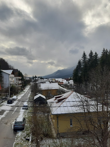 Strada Zamorei 16, Bușteni 107011, România