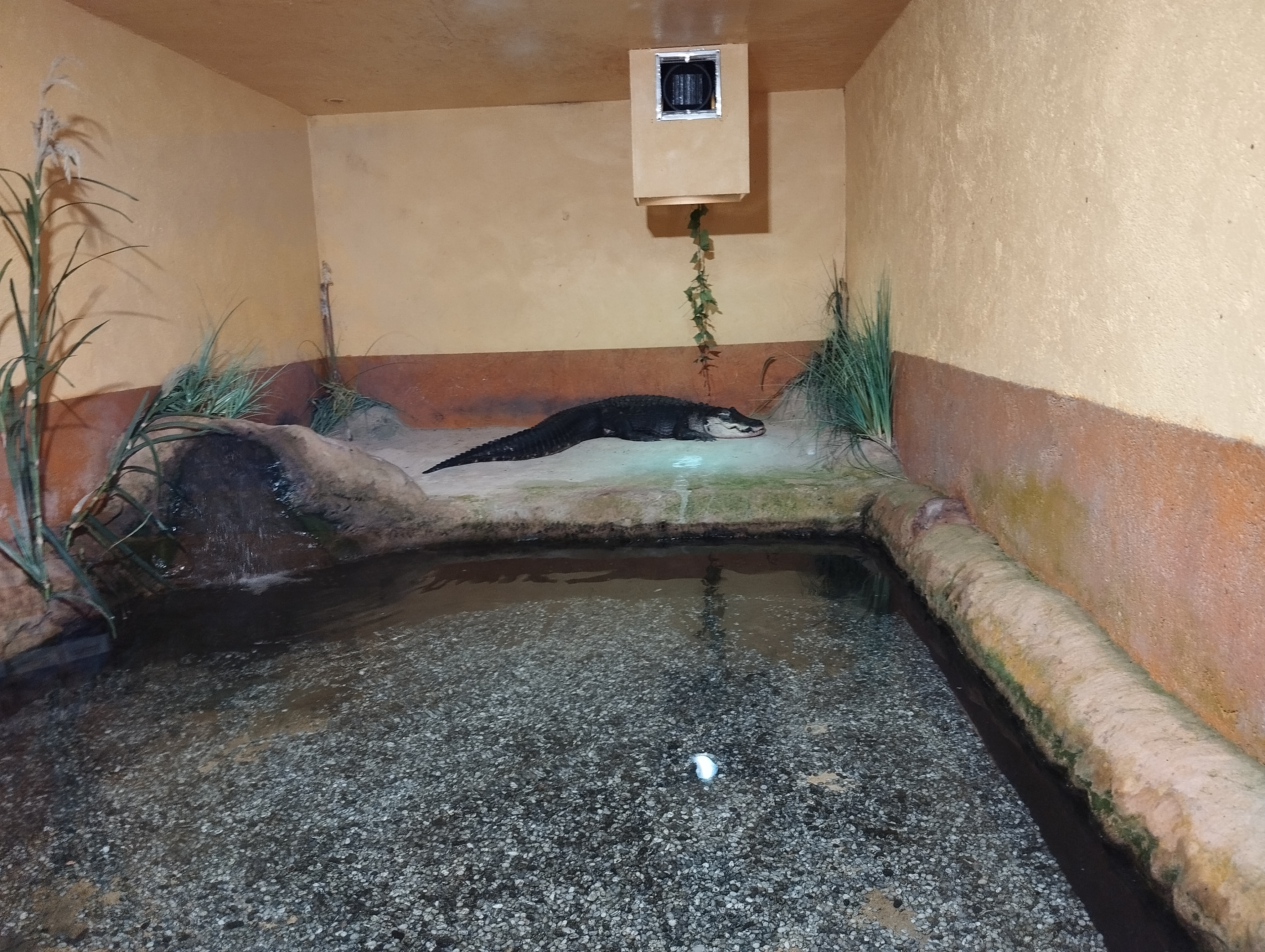 Photo n° 15 de l'avis de Seb.e fait le 17/07/2023 à 19:09