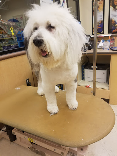 Pet Supply Store «PetSmart», reviews and photos, 1300 John F Kennedy Rd, Dubuque, IA 52002, USA