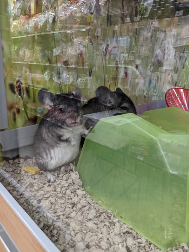 Pet Supply Store «Petco Animal Supplies», reviews and photos, 3452 W Chandler Blvd, Chandler, AZ 85226, USA