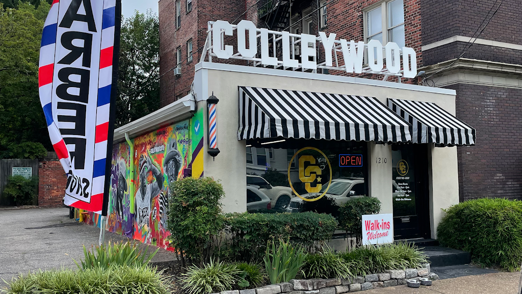 Colleywood Cuts 23517