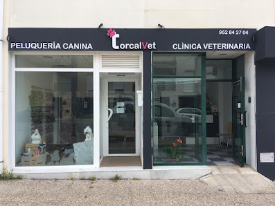 Torcalvet clínica veterinaria C. Manuel de Aguilar, 80, 29200 Antequera, Málaga, España