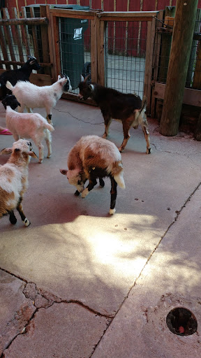 Theme Park «Frontier City Theme Park», reviews and photos, 11501 N I- 35 Service Rd, Oklahoma City, OK 73131, USA