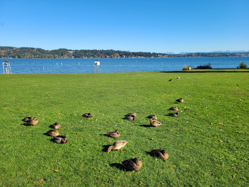 Park «Matthews Beach Park», reviews and photos, 5100 NE 93rd St, Seattle, WA 98115, USA