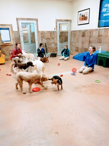 Pet Supply Store «PetSmart», reviews and photos, 2801 Pine Lake Rd, Lincoln, NE 68516, USA