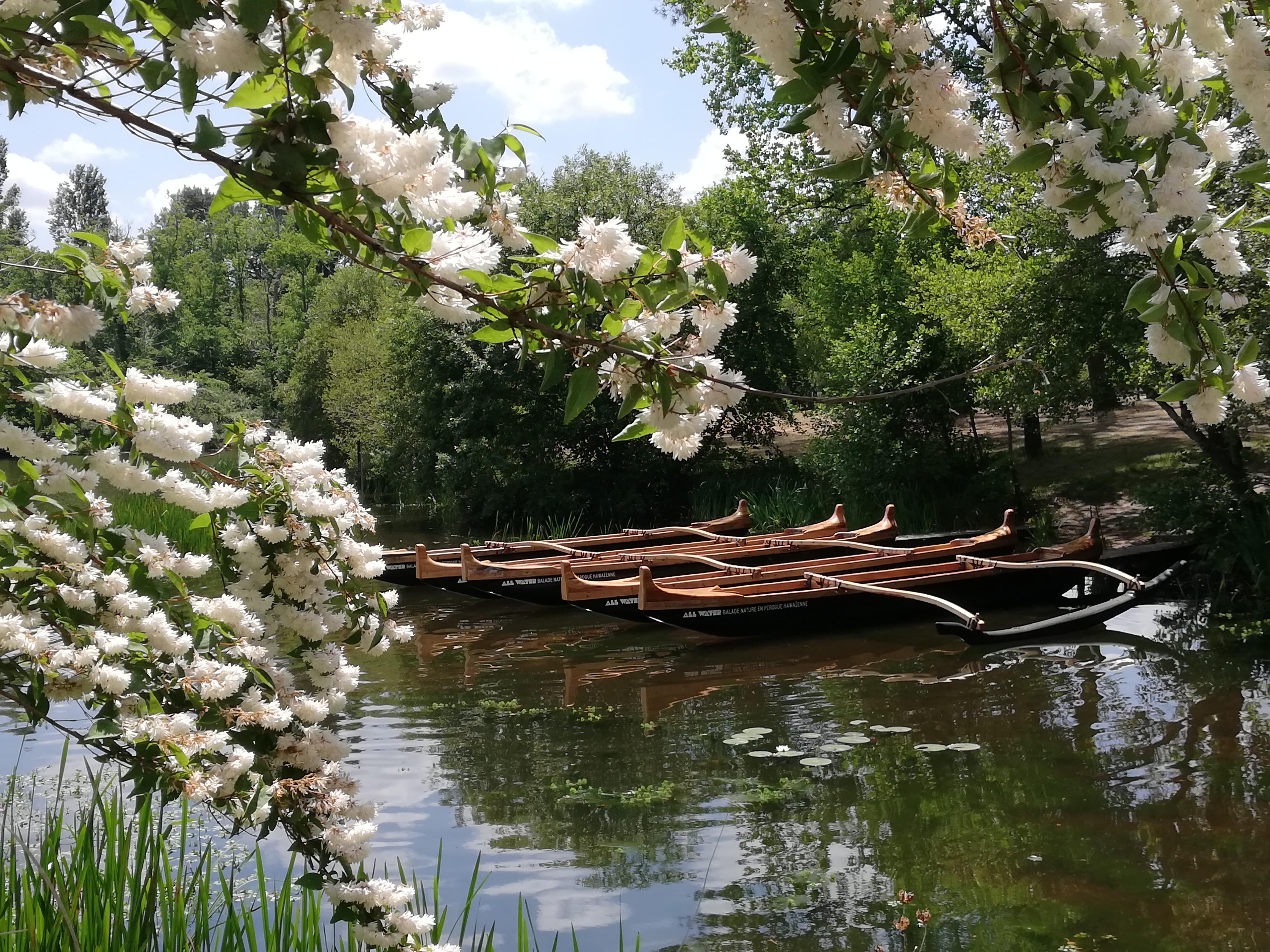 Photo n° 3 de l'avis de Isabelle. fait le 28/05/2023 à 16:43