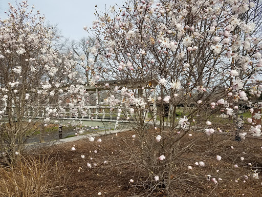 Grocery Store «Rockmart Farmers Market», reviews and photos, Water St, Rockmart, GA 30153, USA