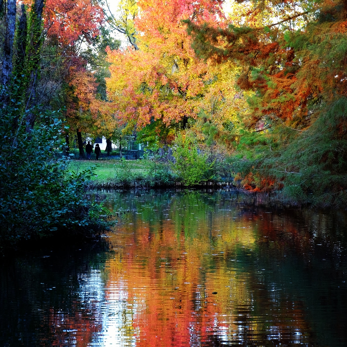 Photo n° 1 de l'avis de patrick.a fait le 09/06/2019 à 17:47