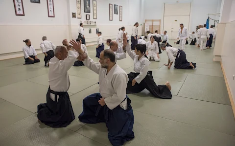 Aikido Shinsei image