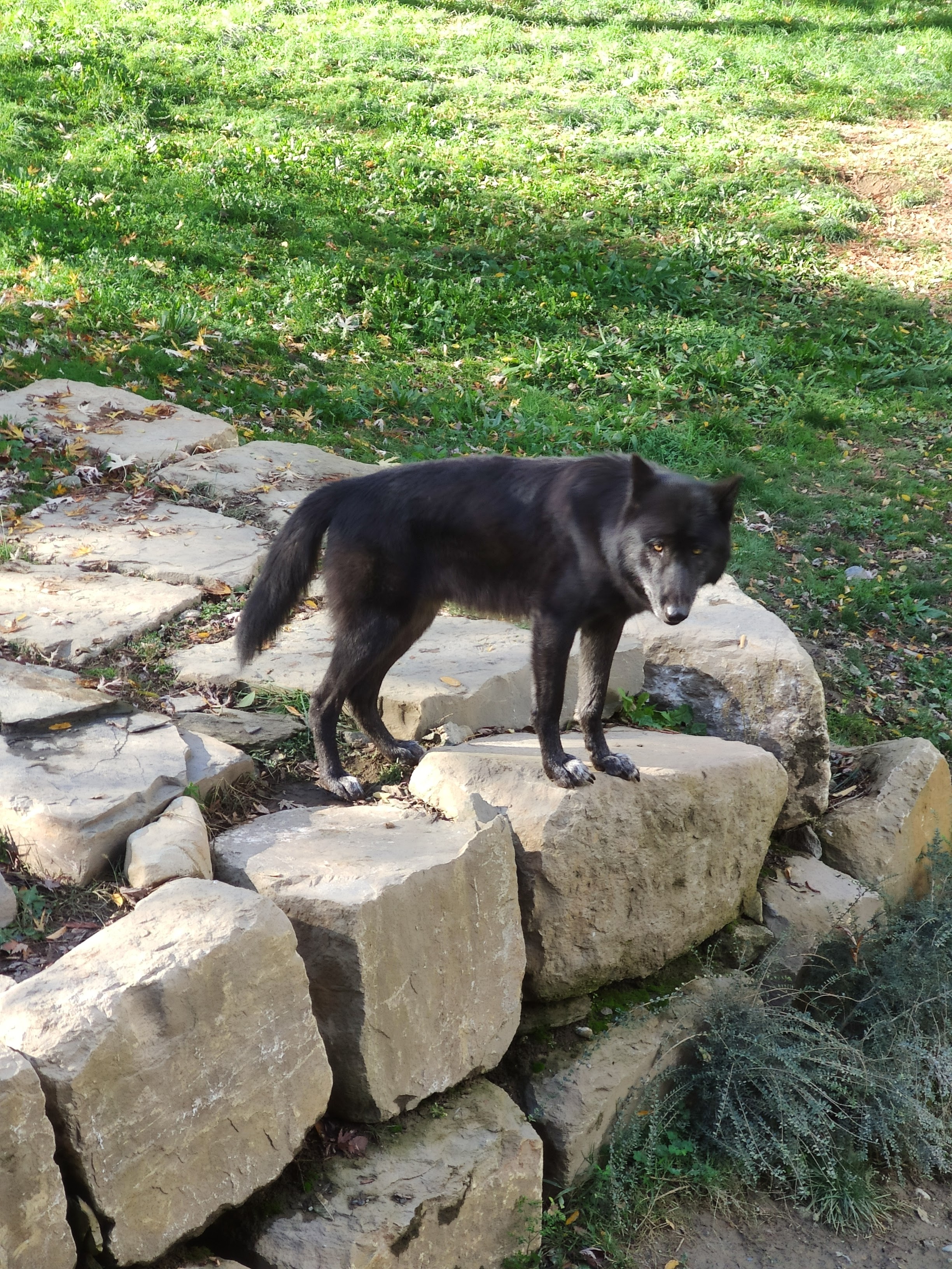 Photo n° 4 de l'avis de Karina.t fait le 06/11/2021 à 20:51