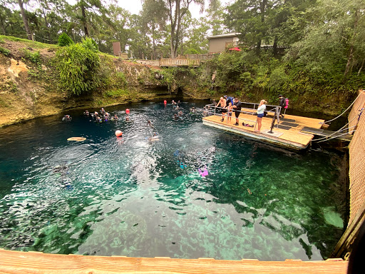 Dive Shop «The Dive Shop On McEver», reviews and photos, 3560 McEver Rd, Gainesville, GA 30504, USA