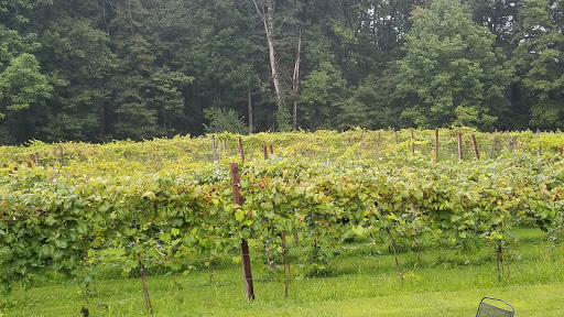 Winery «Blue Lizard Vineyard and Winery», reviews and photos, 139 Ash Cir, Andreas, PA 18211, USA