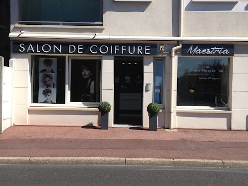 Salon de coiffure Maestria Salon de Coiffure Savigny-sur-Orge