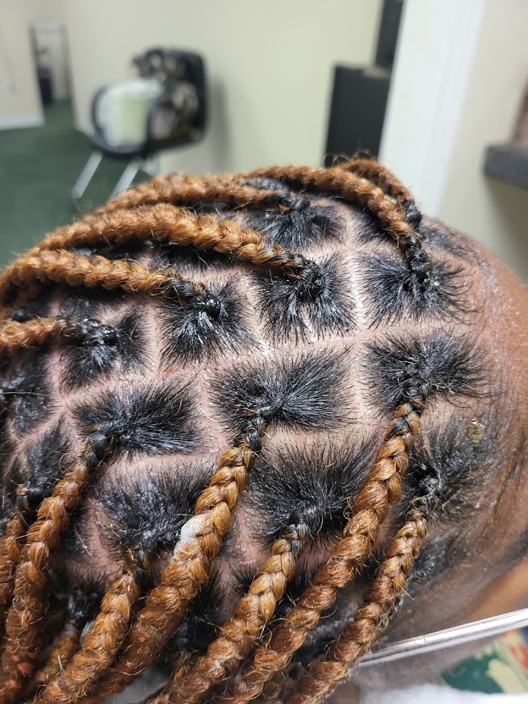 Princess Lab Hair Braiding 30134
