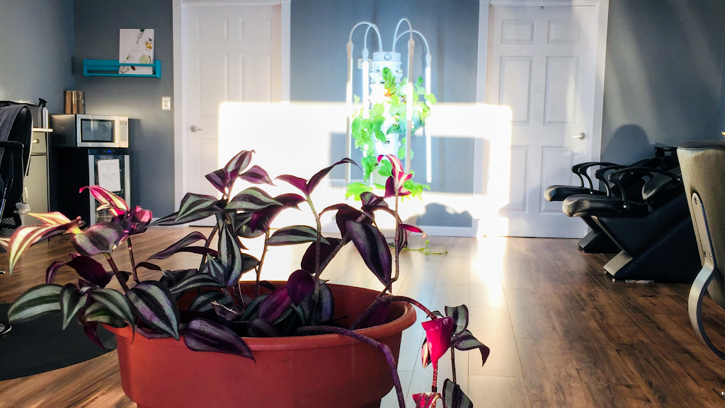 Infused Salon 63050