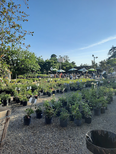 Gazebo Gardens Inc image