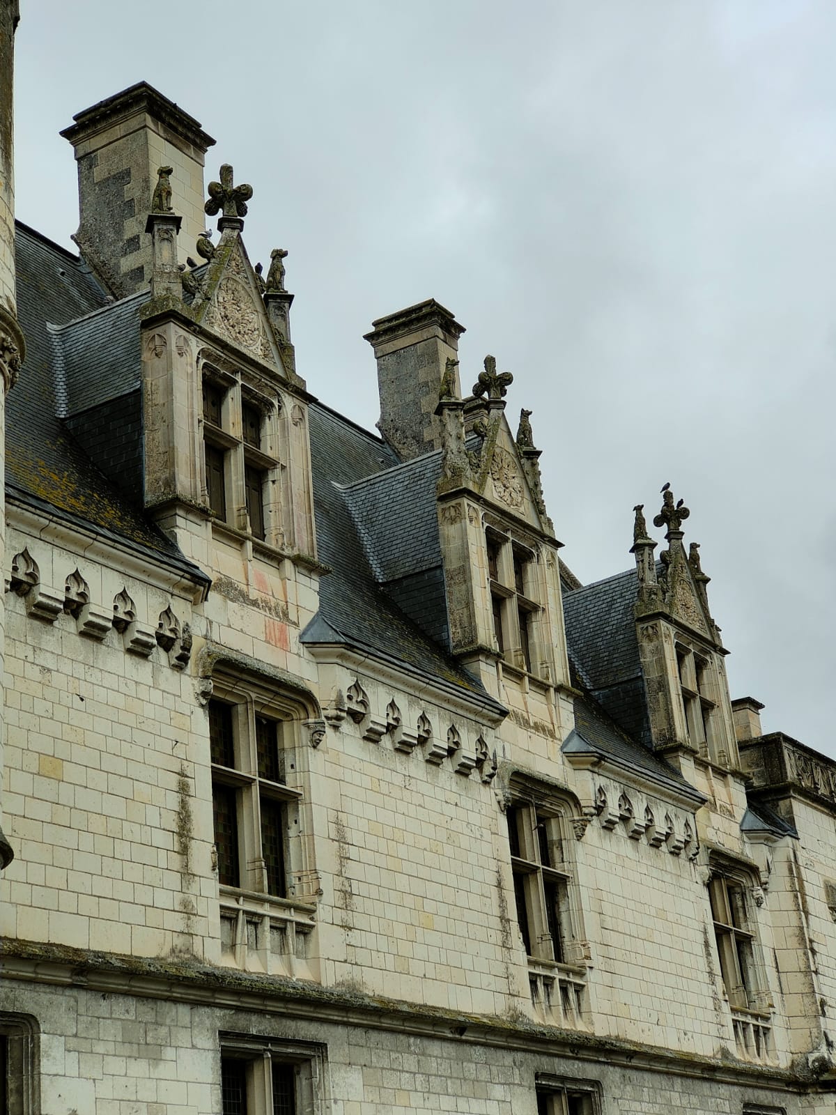 Photo n° 1 de l'avis de Pascal.i fait le 16/08/2023 à 18:04