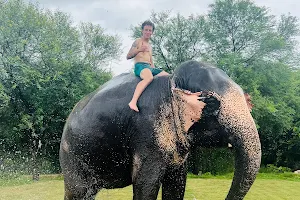 Elefriendride - The Best Elephant Ride in Jaipur image