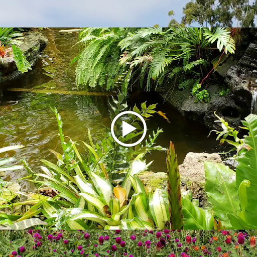 Sherman Library & Gardens image