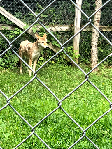 Camp «Howell Nature Center», reviews and photos, 1005 Triangle Lake Rd, Howell, MI 48843, USA