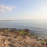 Photo n°12 de l'avis de Carmelo.a fait le 17/08/2022 à 17:19 sur le  Ristorante Acquamarina à Scicli