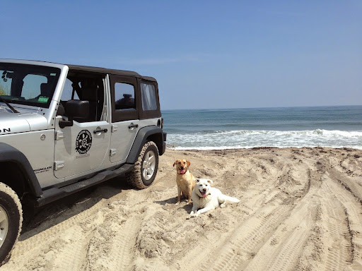 Coffee Shop «Dancing Turtle Coffee Shop», reviews and photos, 58079 NC-12, Hatteras, NC 27943, USA