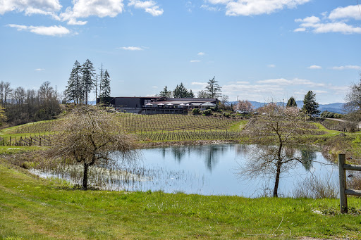 Winery «Elk Cove Vineyards», reviews and photos, 27751 NW Olson Rd, Gaston, OR 97119, USA