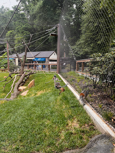 Zoo «Brandywine Zoo», reviews and photos, 1001 N Park Dr, Wilmington, DE 19802, USA