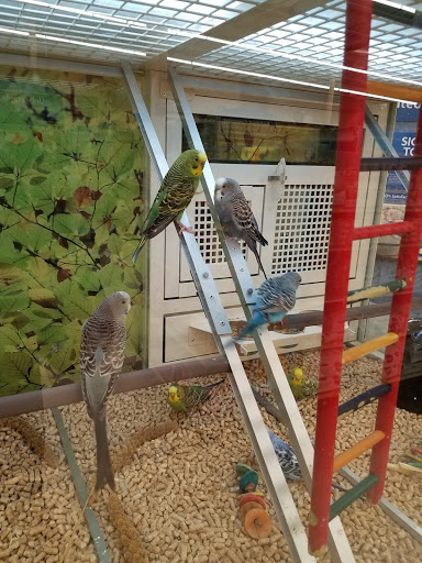 Pet Supply Store «PetSmart», reviews and photos, 5900 Carlisle Pike, Mechanicsburg, PA 17050, USA