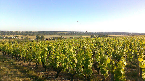 DOMAINE DE LA TONNELLERIE à Limeray