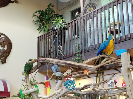 Pet Store «Pet Paradise Grooming», reviews and photos, 1115 Pueblo Blvd Way, Pueblo, CO 81005, USA