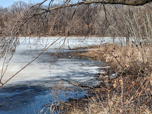 Park «Langton Lake Park», reviews and photos, 1894 County Rd C2 W, Roseville, MN 55113, USA