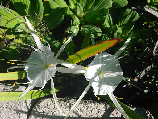 Pet Supply Store «Concord Feed Pet & Livestock Supplies», reviews and photos, 228 Hookston Rd, Pleasant Hill, CA 94523, USA