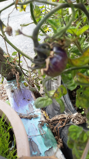 Book Store «Pipe & Thimble Bookstore», reviews and photos, 24830 Narbonne Ave, Lomita, CA 90717, USA